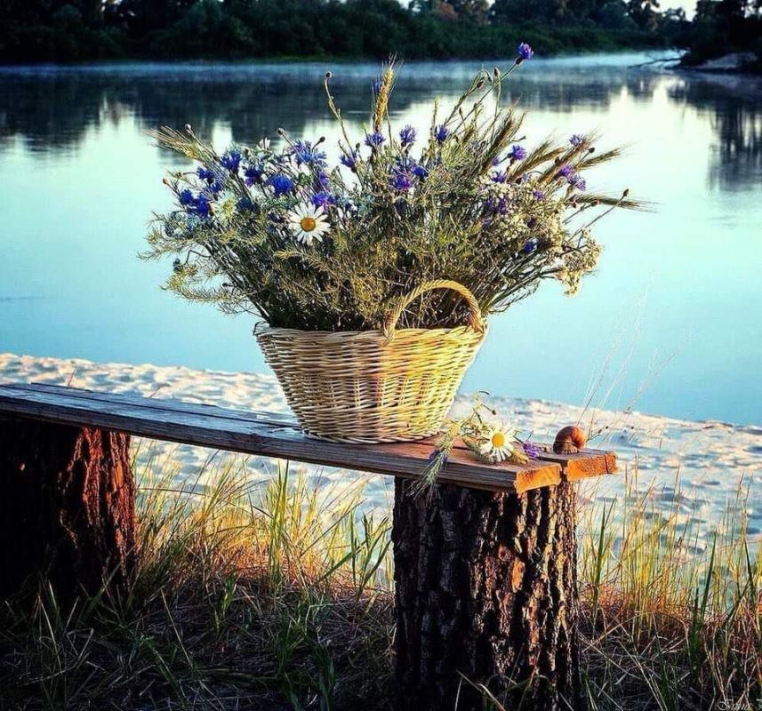 ������ ����, ������� ����)