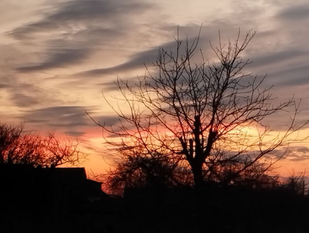 ���� ��� ����������� ���!