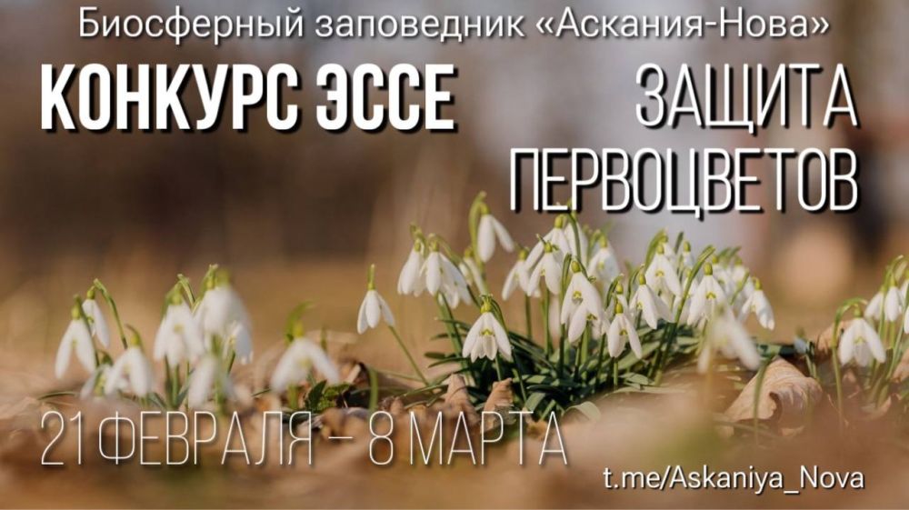 ���������� ���������� ��������-���� ������� �������� ������� ���� �� ���� ������� �����������