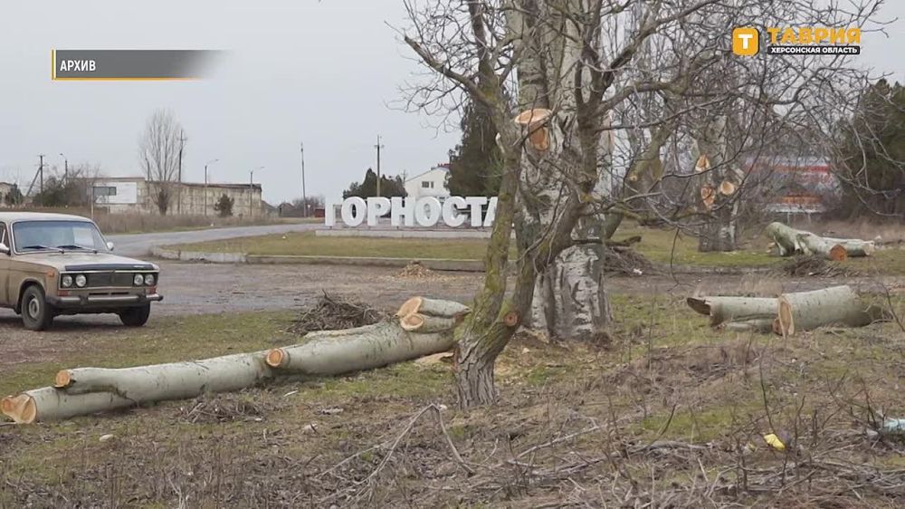 ������������� �������� ���������� ������� ������� ������ �����������