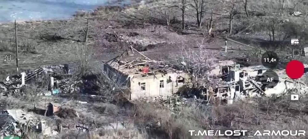 ������� ����� ���������� ������� ������ �� ����-�������� �����������