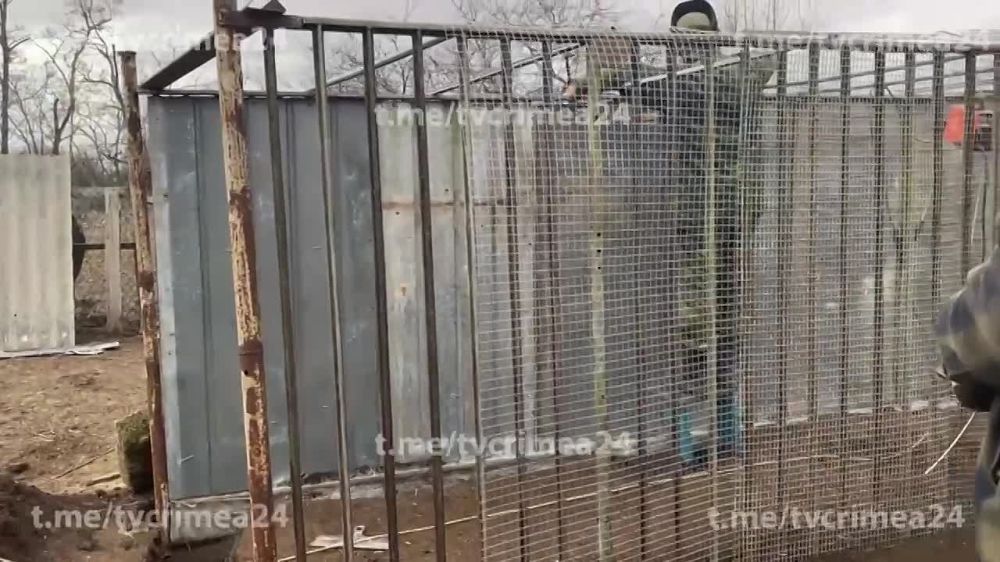 � ���� �� ���������� ������� �������� ������� ����, ������ ������� ����� � ���� ���