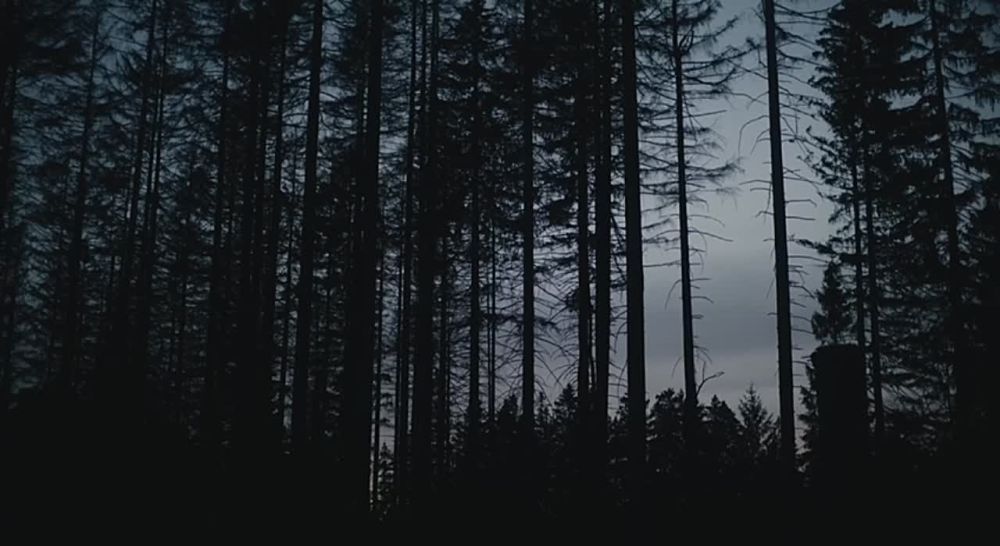 �������� ������: �����, �������� �����, ����� ���������� ��������, � ������� ��������� ���������� �������