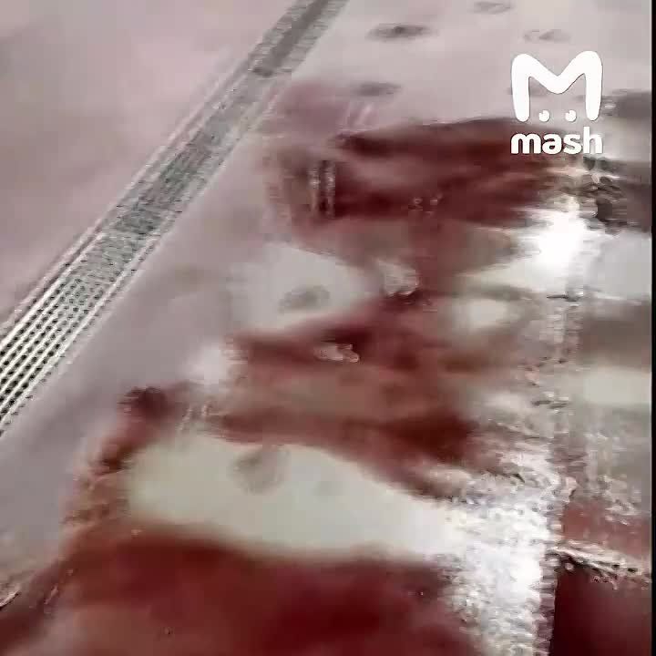 ����� �� ��� ������������ � �� ������ ��� �������� 80 ����� ������� ���������� ����