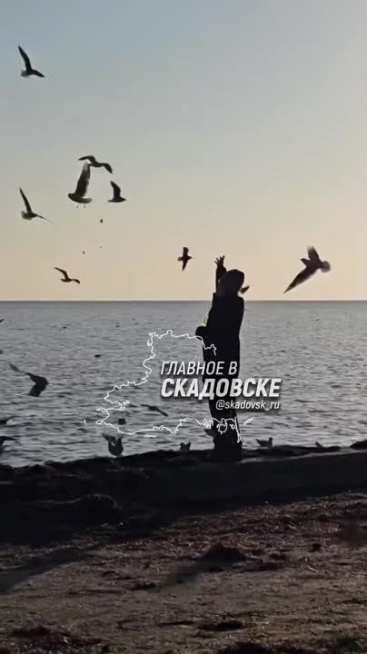 ���������� �������� � ��������� ���������� ����� �������� �������