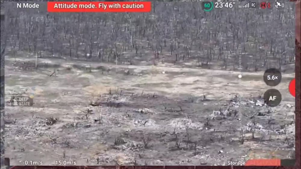 ��� ������: ���������� �����������. ��������� ������� ����� ������ ����� ��������������, ������������ ���� � �������