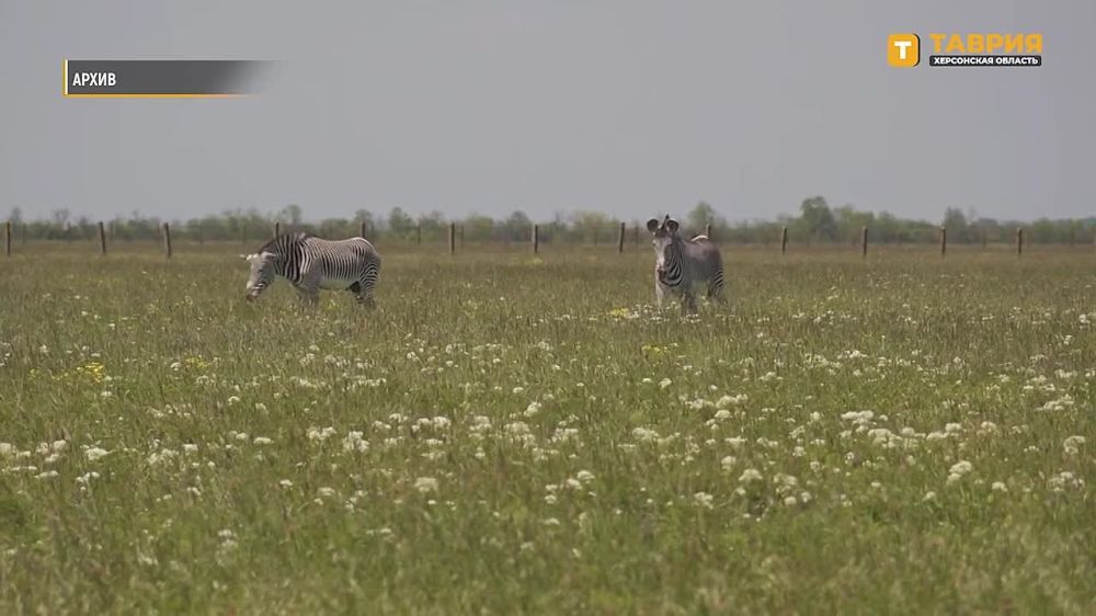 ������������ �������� � ������� ������� ��������� ���������� � �������������� � ����������� �������������