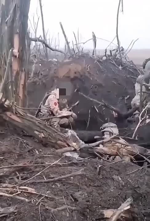 ������� ������ ����� ���� �������� ��������, ����� ��� �� ������