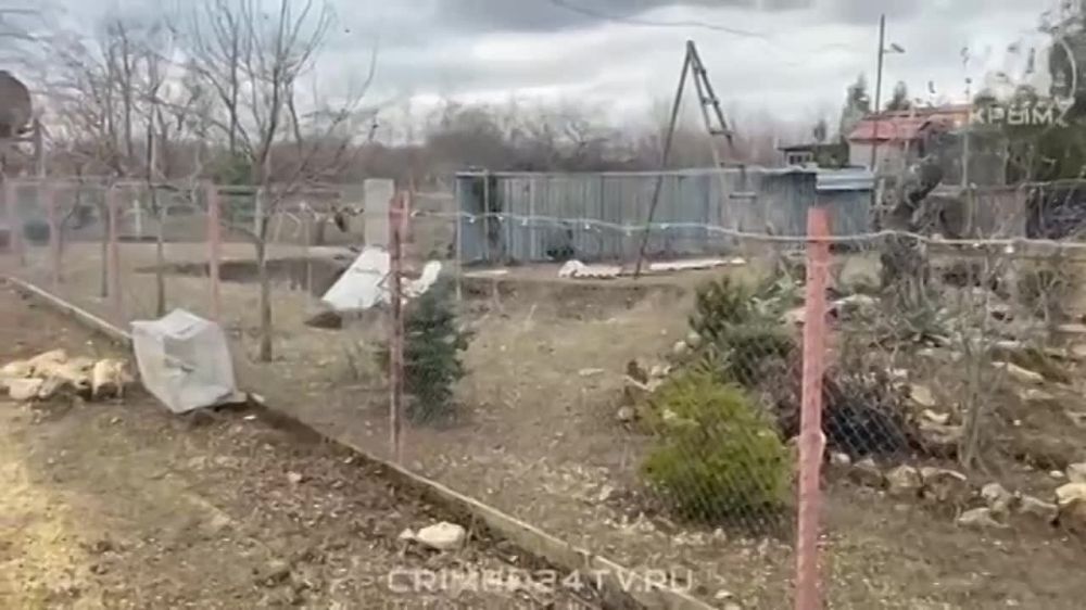 � ���� �� ����� ������� �������� ����������� ����������� ������� ����