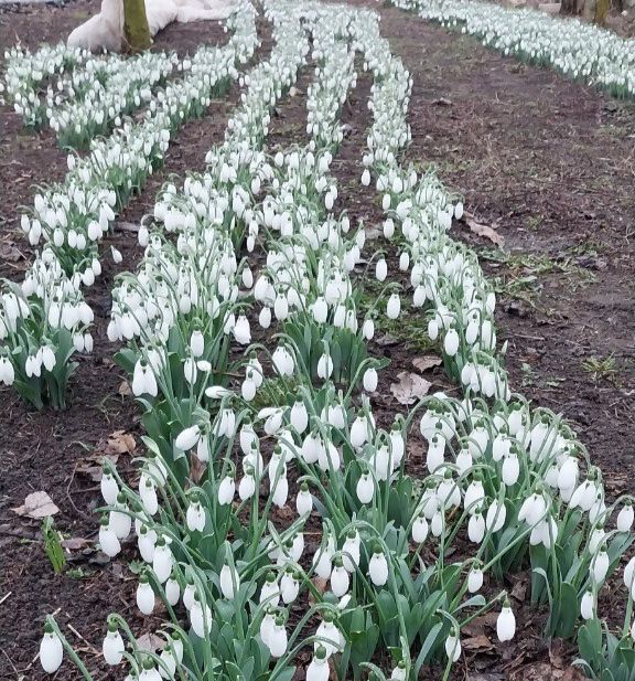 ������ ���������� �� ��� ������� ������������ �� ����������� ��!