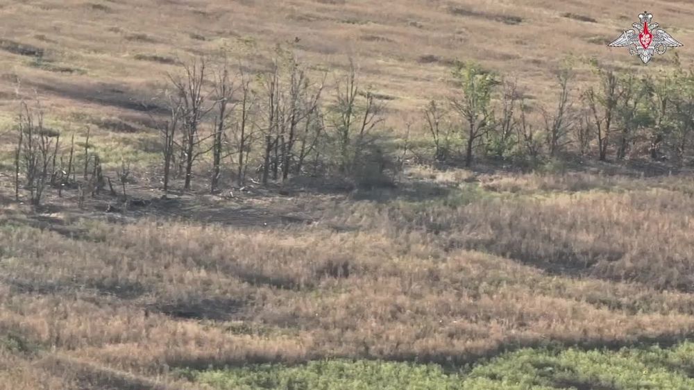 � �������������� ������: ������ ������ �������� ����������� ������� ��������� ������� �� ������ ������ ������ � ���������� �������