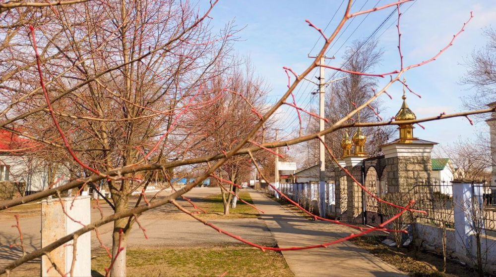 ����� ������ ��� ��������� ������� � �����������, ��� ����� ����� ��������� ��� �������