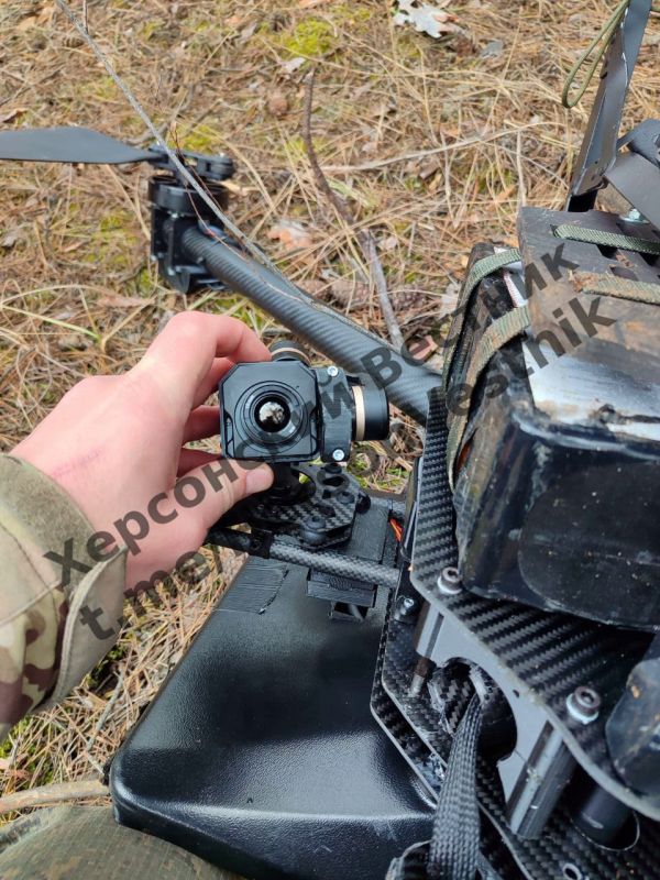 �������������� 80 ����� ����� ��������� "���� ���", ������� ������ ������� �� ������� ���������