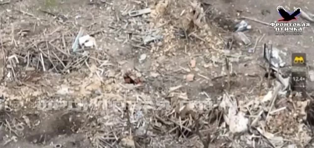 ����������� �������� ��� � ������ ������