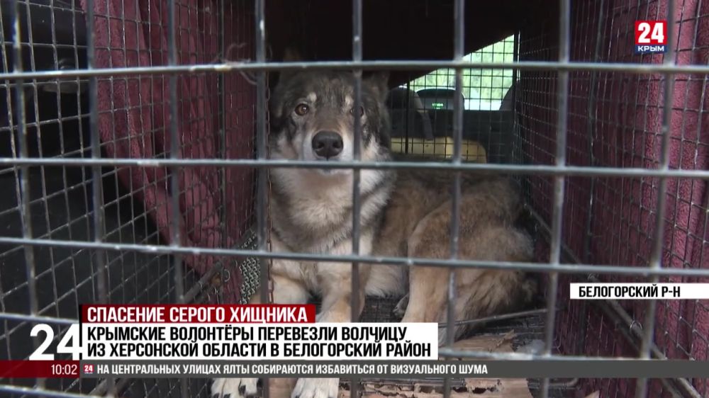 ������� �� ���������� ������� �������� � �����