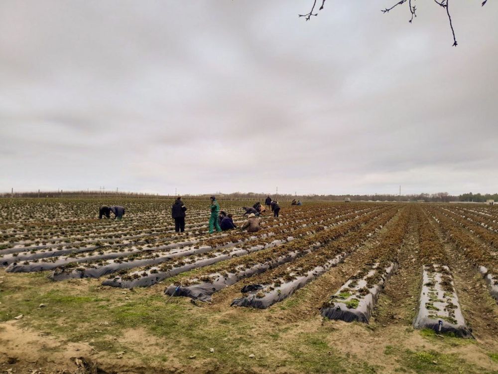 � ����������� ��� �������� ������ �� ���������� � ����������� ������