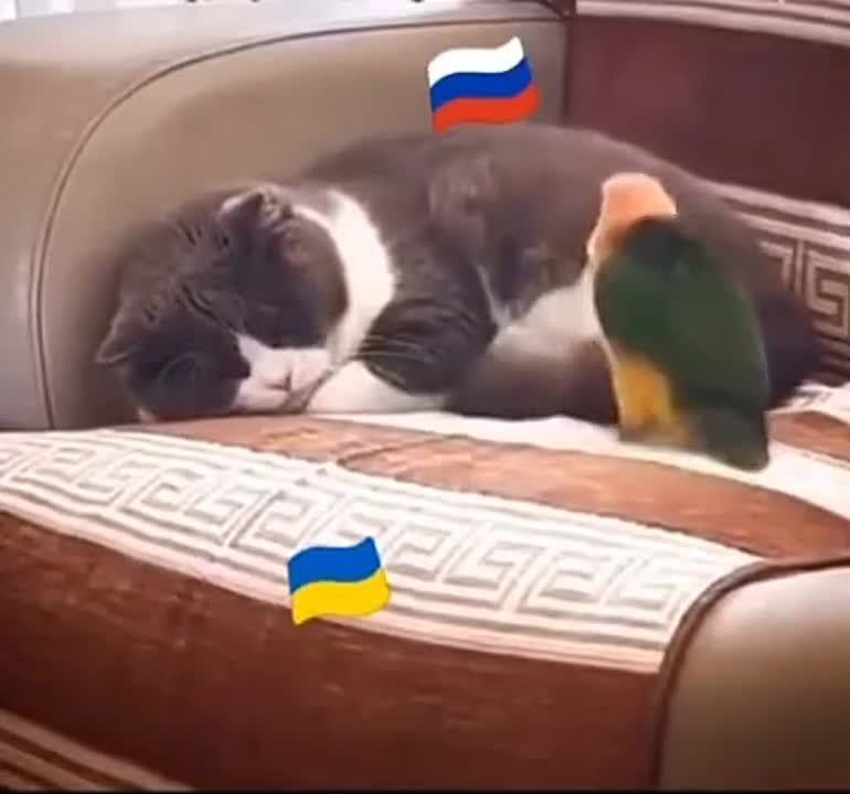 ������� ������ ��� � ����� �����!