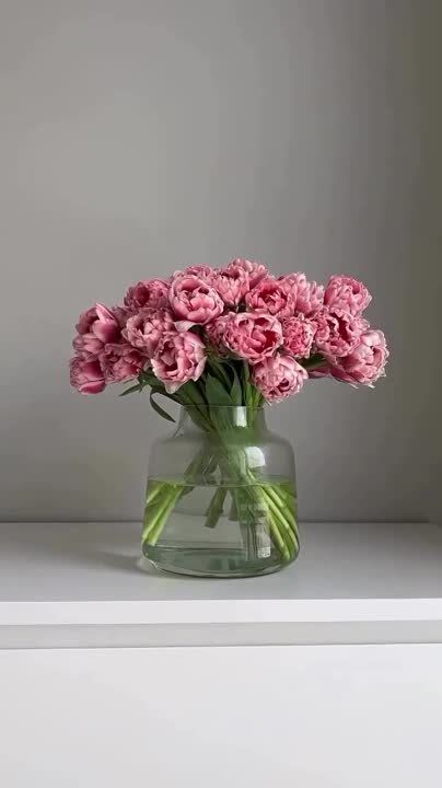 � ������ �����, �����������!