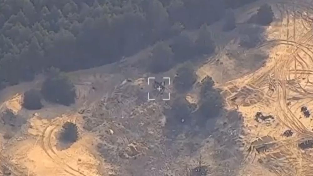 ���� �� ����� � ���������� �������: ��� �������� � ������� �� ������� ����������� �����