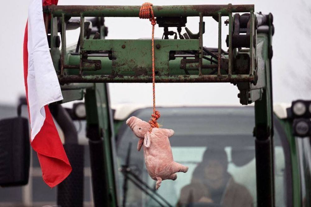 � �� �������� ������� ��� ���������