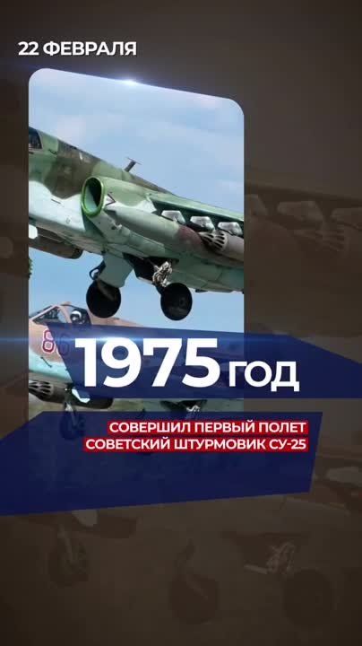 � ���� ����