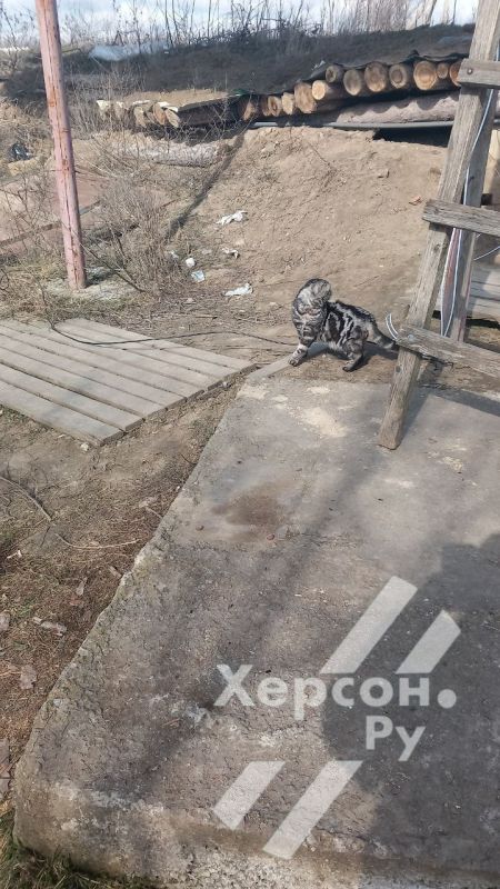 ����� ������ �� �������� ����� ������ �������� ��� ����� ������������� ������ �������