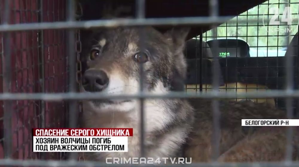 ���������� � ���� �� ���������� ������� ������� ���� ���������� � ����� ����