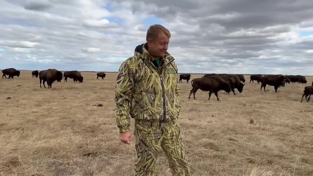 ���������� � �������������� ��������� ���������� ���������� "������� ����" � �������� ���� ����� "������"