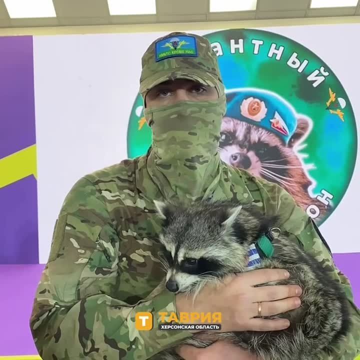 ���������� ����, ��������� ����������� ������������, ������� �������� "������"