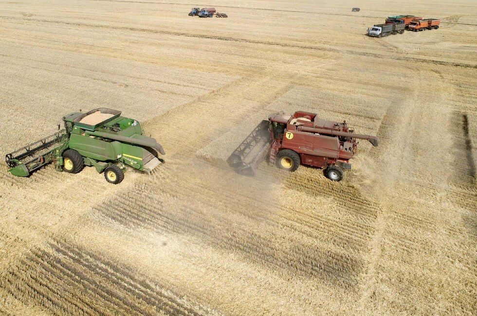 ���, ���, ����������� �������, ���������� �������