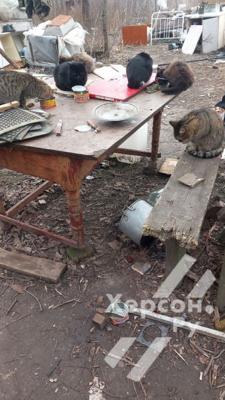 �������� ������ ��������� ������� �����������: "���������� ����� ����� ��������