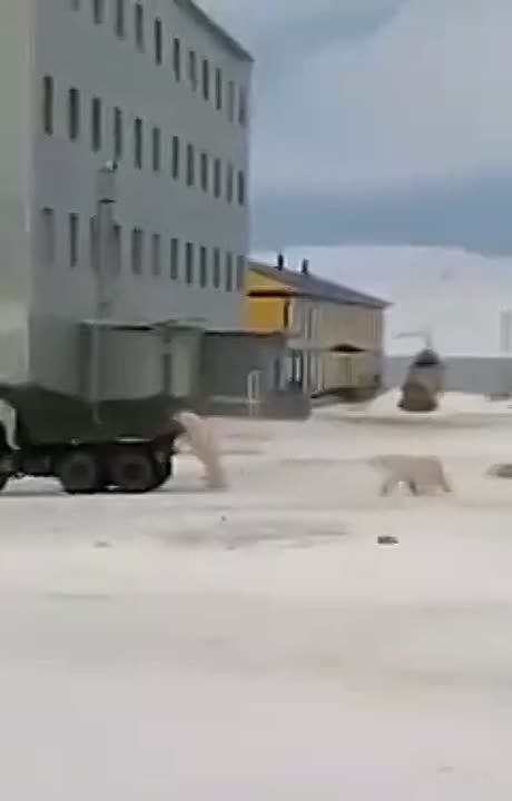 ������� ����� ������� ������� � ������� �����