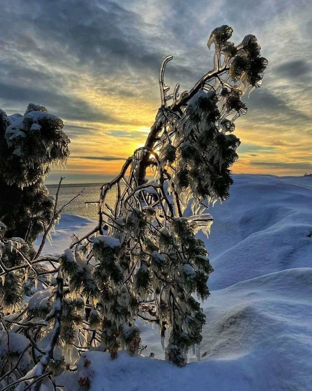 ��������� �����, ���������� ,����������