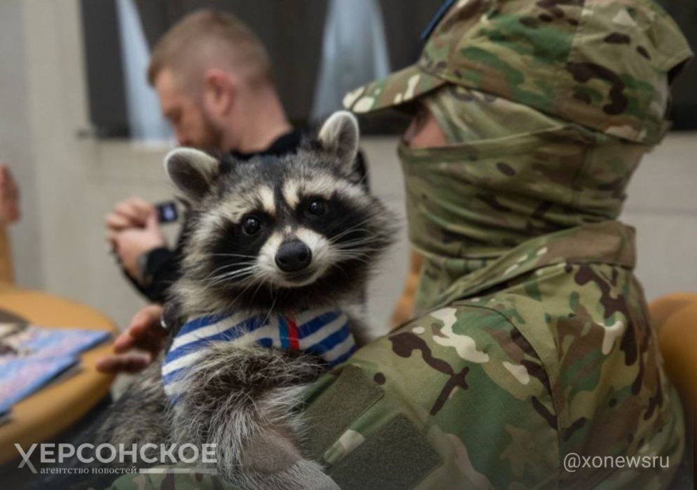 ����� ��������� �������� �� ��������������� ��� �������� ���� ������ ���� ������ �����, �������� � ���� �������