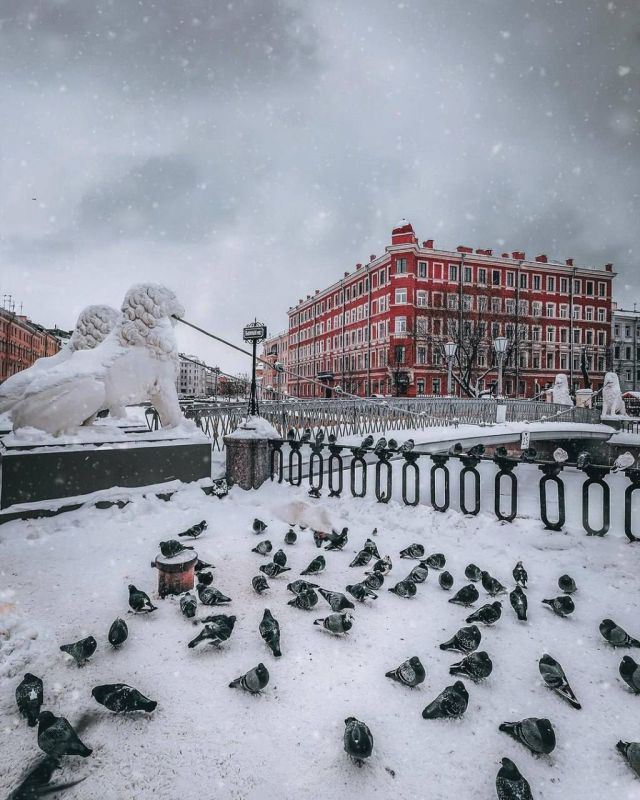 ������� ����, �����-���������