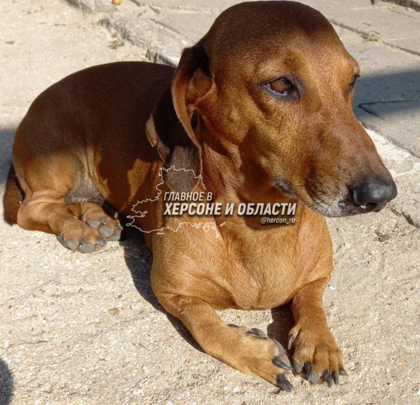 ���������� �������� � ������� � ������� �������� ��� ��������� ������