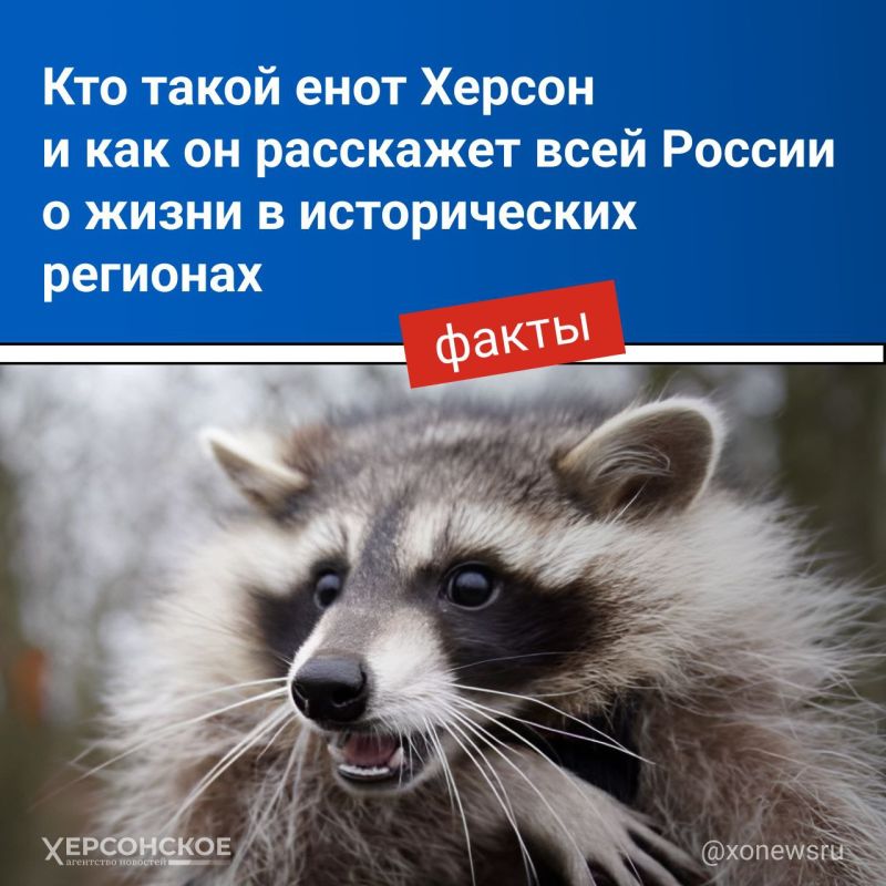 ������ ��� �� ������ � ����������� ������ �������� � �������� ������-�������: ���� ���� ������� �������� ������ �� ����� �������� ������� � ����� ��, ���� �� �� ������ ���������� �����������