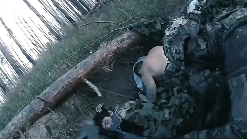 ������ �� ���������� ��������