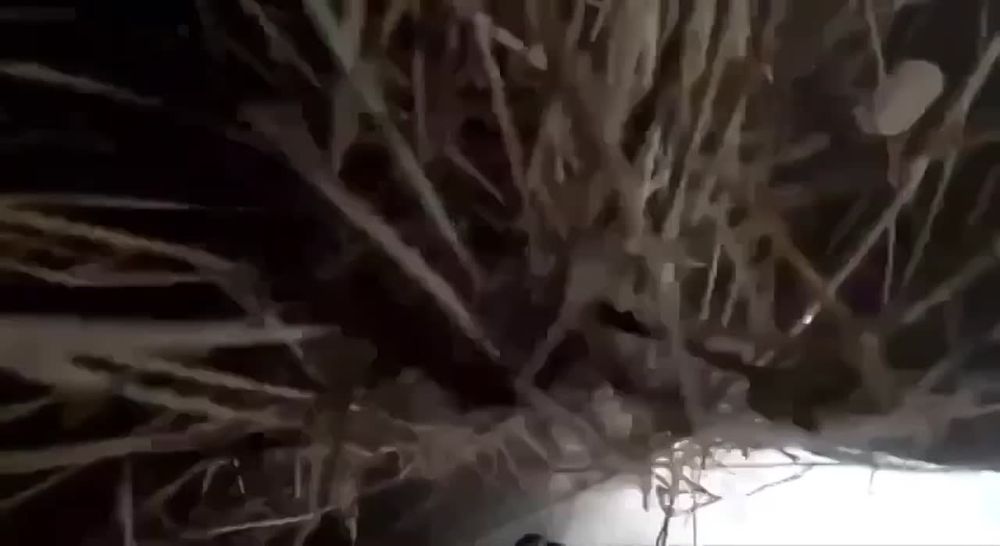 ������ ������� �� ���� ������ ����������� �������� �� ������ ���