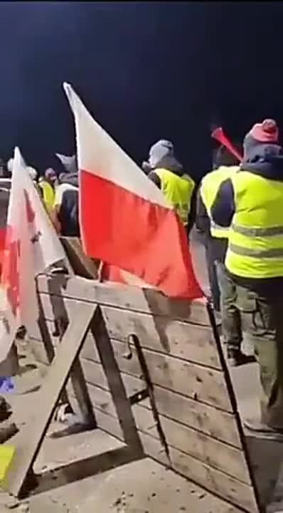 ������ ������������ ���������