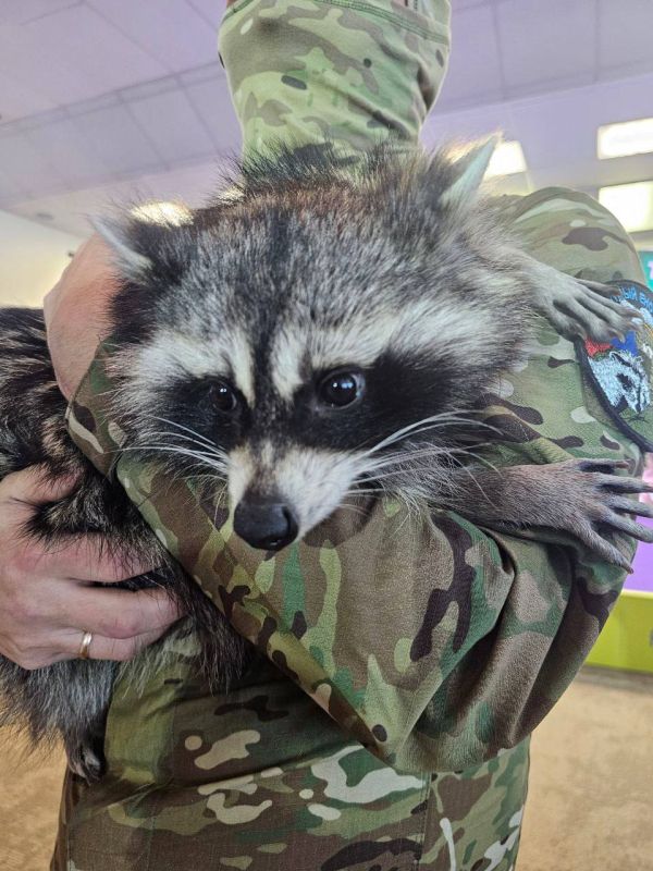 �������, 24 ������� � ����� �� ������ ������ ���� ��������