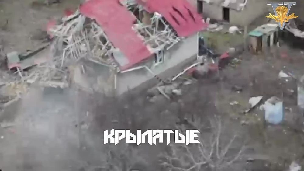 ���������� �����������. ����������� ��� � ������� �������� ������ ������� @russian_airborne