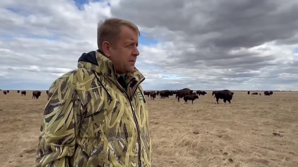 ���� ����� �������� ���� ����� ����������� �������� ����