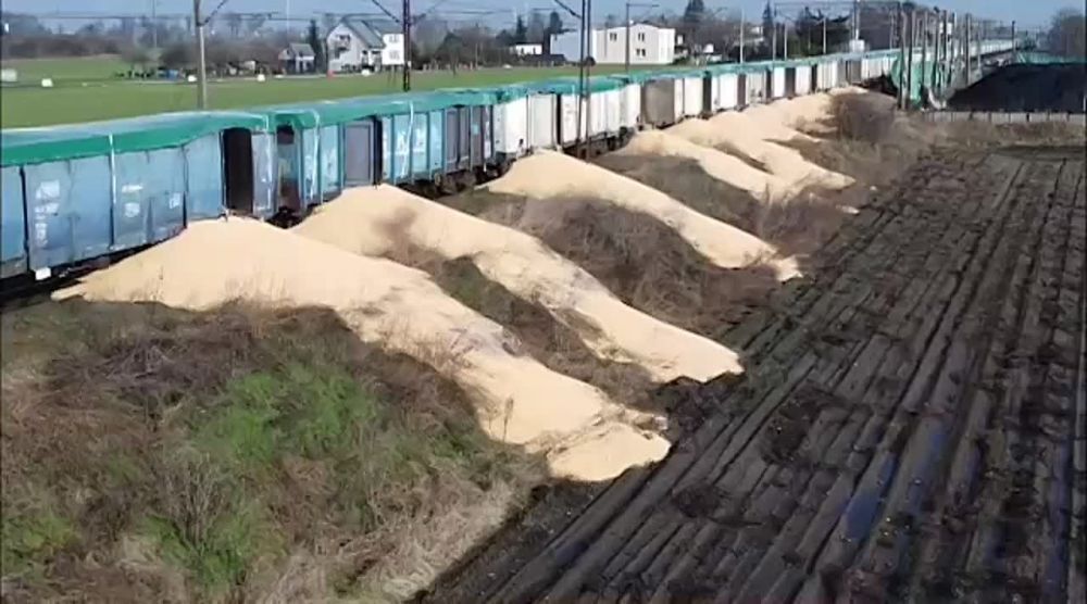 ����������� � ������ �������� 160 ���� ����������� ����� �� ������� ���������������� �������, ���������� � ���� ��������, ������� ������� �������� �����, ���������� � �������������� ������� ��������