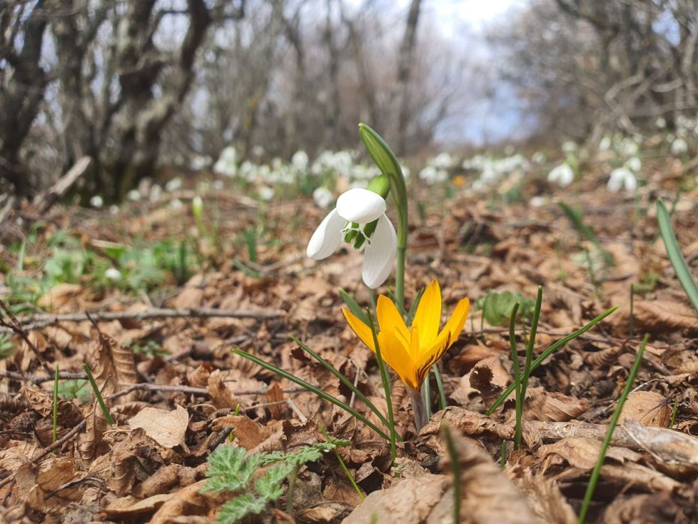 ����� � ��� ������� ����� � ����