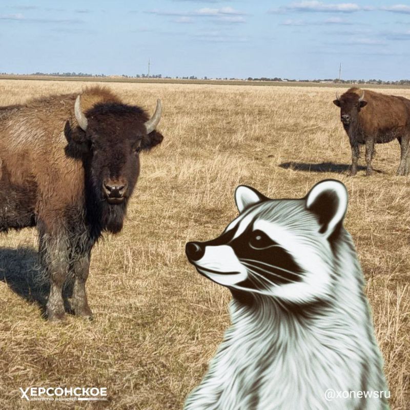 ���������� �������������� ����������� ������ � ������ �������� �� ������������ �������� ������