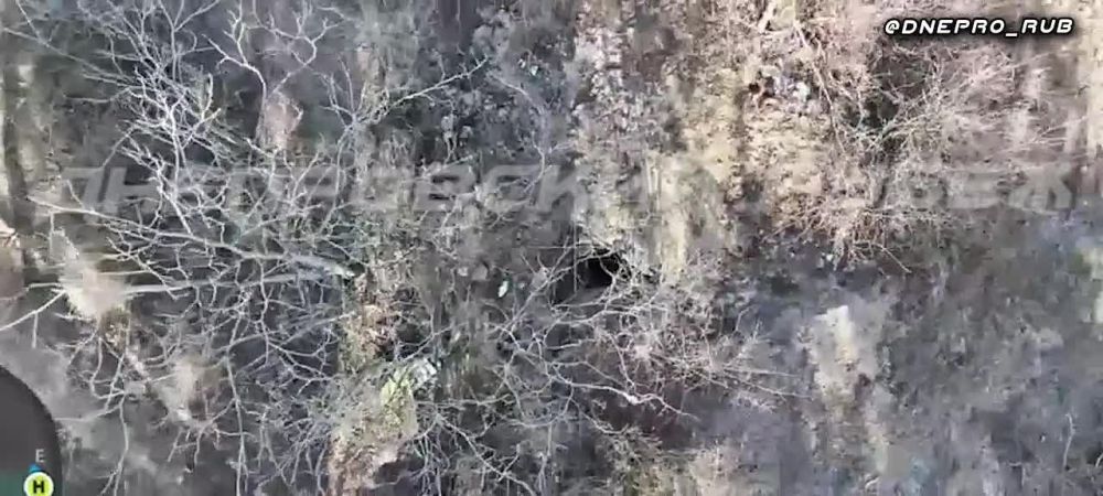 ����������� ����� "�����". ���������� ����������� �.�. �������