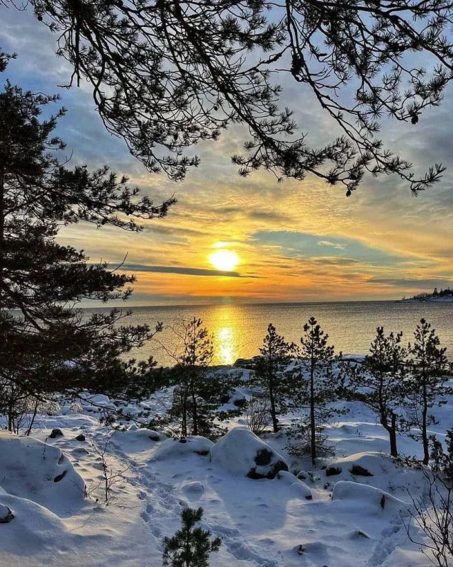 ������ ����. ������� � ������� �������� ������ ����������� ���� ����. ��� �������. ����������� �� +2 ����� �� +10 ����