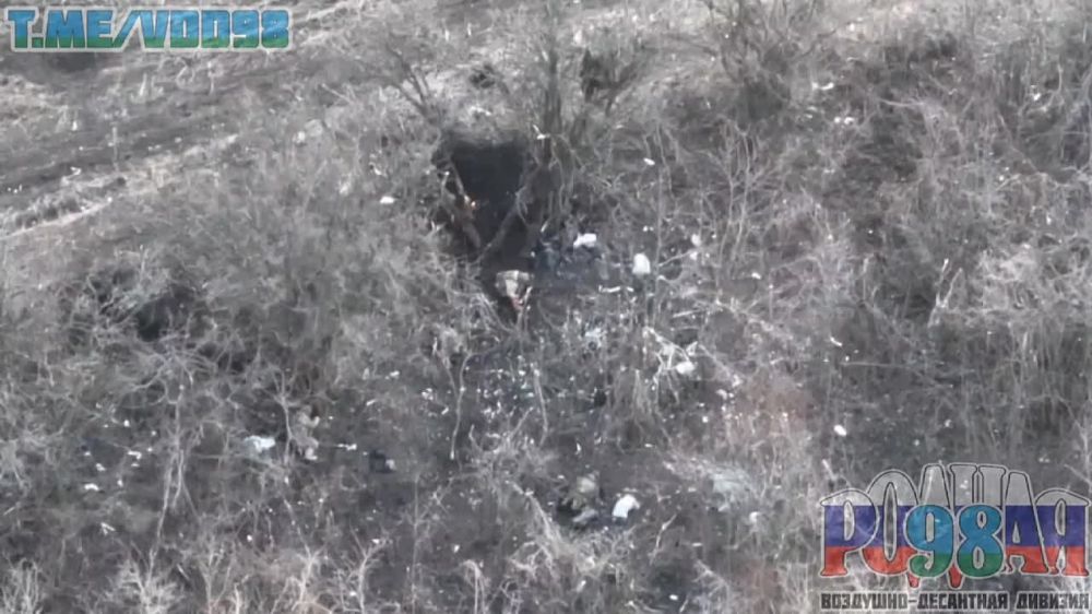 ���������� 98-�� ������ ��� �������� ������� ����� ����������, ��������� ����������� �� ����� ��