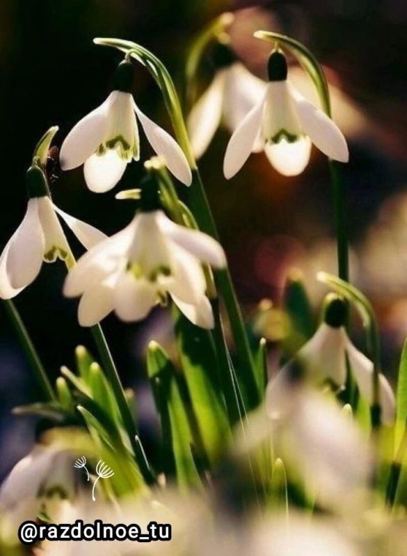 ����������!. ������� ������������ ������ ���, ����������� ����������, ������� ��������, �������� ������, �������� ������...